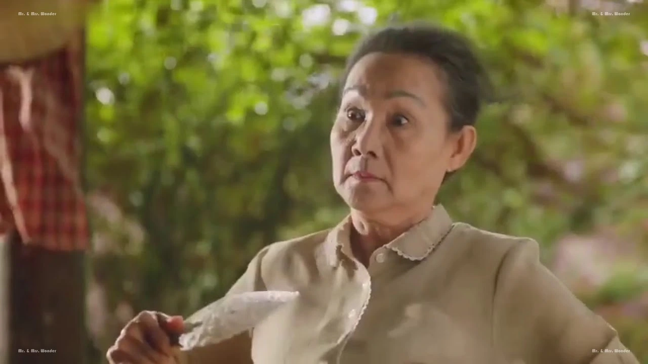 泰国魔性搞笑广告 - 记忆力超强的祖母！